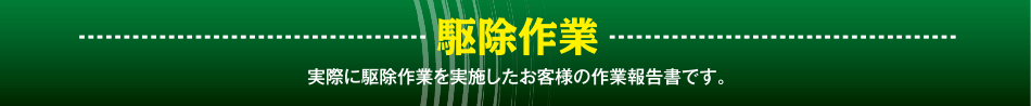 駆除作業