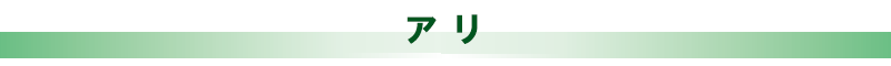 アリ